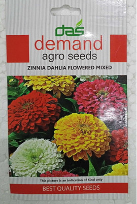 KRASHAK ZINNIA DAHLIA Seed(2 per packet)