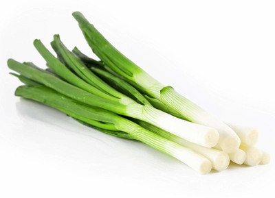 Cloud Farm ® Farm Leek/Green Spring Onion Seeds-1000 Seed Seed(1000 per packet)