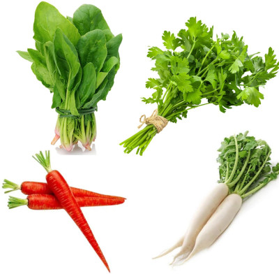 PSAgroinput GAJAR-MOLI-Dhaniya-PALAK pack of 4 Seed(100 g)
