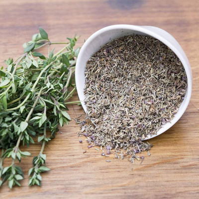 CYBEXIS ATS-33 - Thyme for Planting - (1350 Seeds) Seed(1350 per packet)