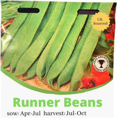 KNESSiN Runner Bean Seed(400 per packet)