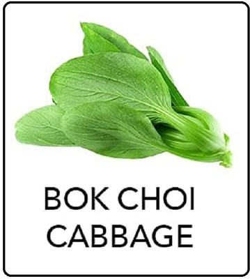 CYBEXIS Bok Choi Cabbage2000 Seeds Seed(2000 per packet)