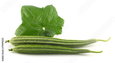 Paudhaa FI QUALITY RIDGE GOURD Seed(10 per packet)
