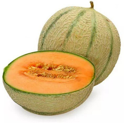 Quentova Super Sweet Musk Melon Fruit-HQL-22S Seed(150 per packet)