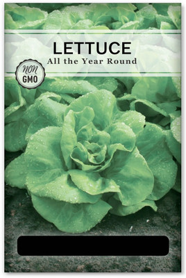 Quentova All the Year Round Lettuce 2.5gm Seed(2000 per packet)