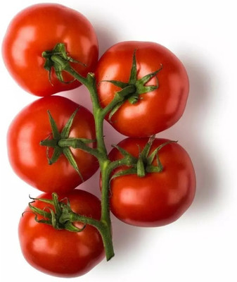 Quentova Plum Tomatoes-XIL-4H Seed(200 per packet)