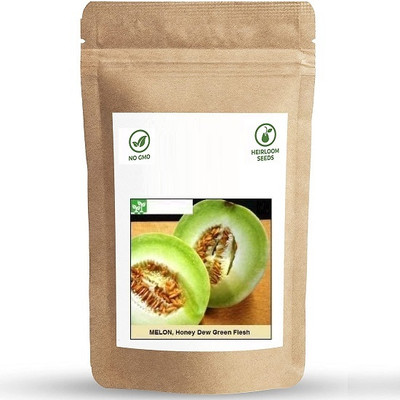 Biosnyg Honeydew Green Flesh Musk Melon[400 Seeds] Seed(400 per packet)