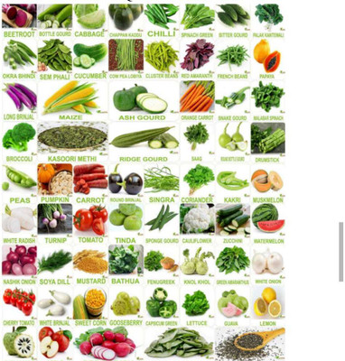 Hothanger Vegetable Seed - Chilli Spinach Green, Bitter Gold, Palak Kantewali, Okra Bhindi Seed(100 per packet)
