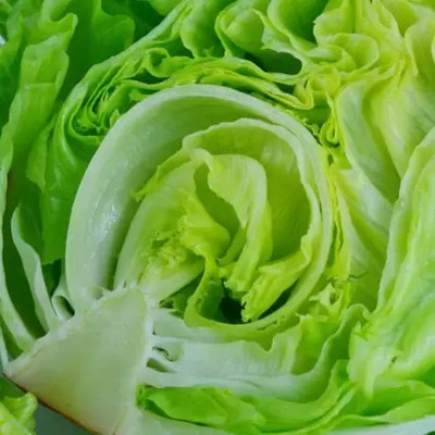 MAA Lettuce, Iceberg Seed(30 per packet)
