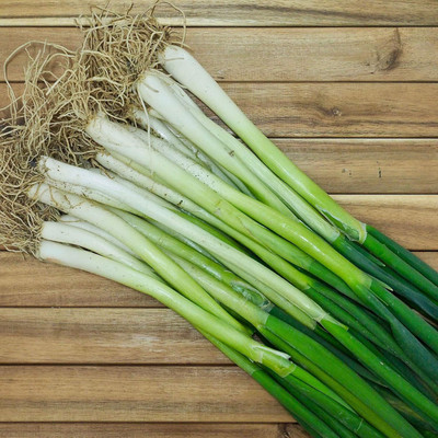 Qualtivate RES-3A Onion Bunching - Southport White Globe Seed(500 per packet)