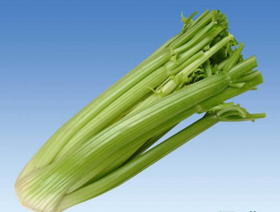 ENTENT TALL UTAH CELERY Apium Graveolens Dulce Vegetable Seed(50 per packet)