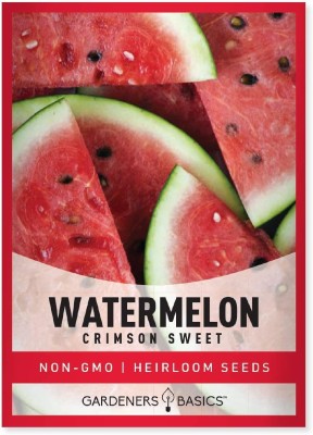 CYBEXIS NDIR-68 - Watermelon Crimson Sweet - (150 Seeds) Seed(150 per packet)