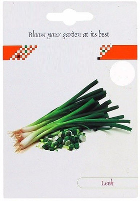 CYBEXIS Leek Hybrid Seeds 4000 Seeds Seed(4000 per packet)