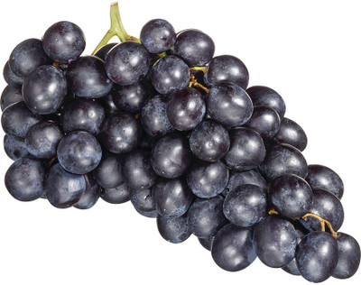 PASCLE Black Globe Grape Extra Super Sweet Seed(50 per packet)