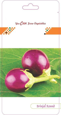 CYBEXIS Brinjal Round Seeds 2400 Seeds Seed(2400 per packet)