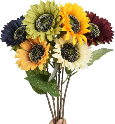 ibains Sunflower seeds for farming Seed(32 per packet)
