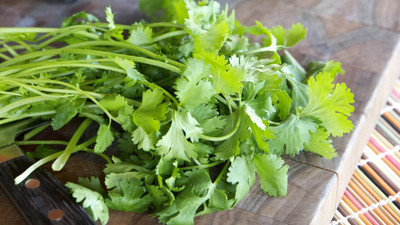 Cosmos Fresh Green Coriander (Dhaniya) Hybrid Quality Seed(100 per packet)
