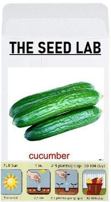 KNESSiN Cucumber Seed(200 per packet)