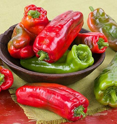 KNESSiN High Yield Big Jim Hybrid Giant Chilli[400 Seeds] Seed(400 per packet)