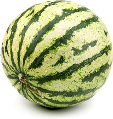 Qualtivate GBPT-6A Watermelon - Dixie Queen Seed(100 per packet)