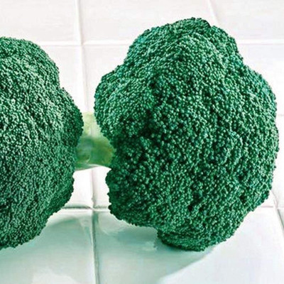 VibeX Broccoli Seed(200 per packet)