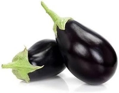 Biosnyg Early-Maturing Brinjal Black Eggplant Vegetable ( Seeds) Seed(5000 per packet)