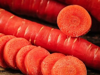 RUDAN गाजर के बीज Red Carrot Seed(800 per packet)