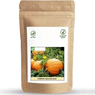 Biosnyg Pumpkin Mammoth Gold Seed(50 per packet)