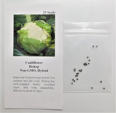 Qualtivate ICRA6-A Cauliflower Bishop (White)Non-GMO, Hybrid Seeds Seed(300 per packet)