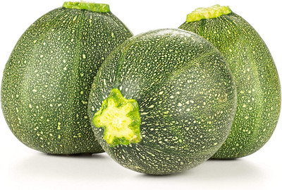 CYBEXIS VVI-55 - Round Zucchini Summer Squash - (75 Seeds) Seed(75 per packet)