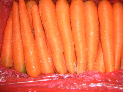 Quentova Carrot - Orange Vegetable-8S-QLTY Seed(250 per packet)
