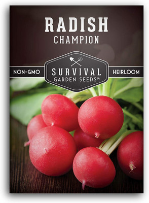 CYBEXIS GUA-49 - Champion Radish - (2250 Seeds) Seed(2250 per packet)