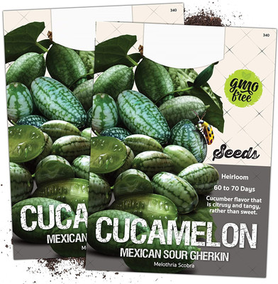 WILLVINE F1 Hybrid Cucamelon/Mexican Sour Gherkin (Melothria scobra)-1250 Seeds Seed(1250 per packet)