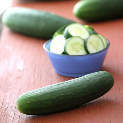 Quentova Cucumber Dasher II F1 Seed-NST-8D Seed(200 per packet)