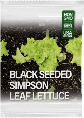 Quentova Black Seeded Simpson Lettuce 1gm-IACR-5R Seed(800 per packet)