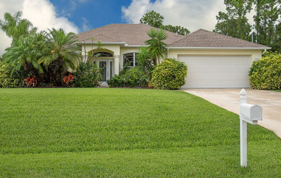 wequality hybrid bermuda grass seed/best bermuda grass seed/bermuda grass seeds Seed(16000 per packet)