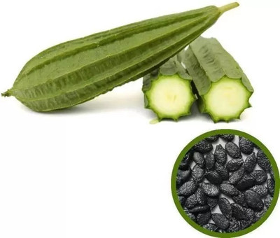 MAA Ridge Gourd, Turai, Luffa Seed(90 per packet)