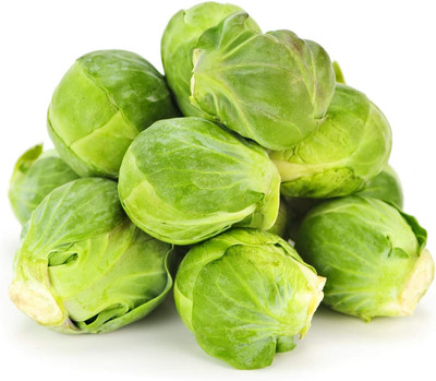 WILLVINE GBPUT -VII Catskill Brussel Sprout Seeds [50g] Seed(15000 per packet)