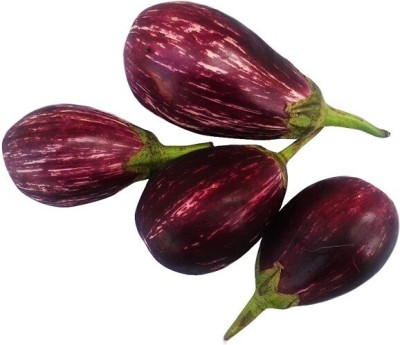 Avysa Brinjal / Eggplant / Aubergine Seed(100 per packet)