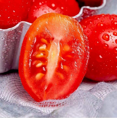 CYBEXIS Tomato Seeds Highly Adaptable 2000 Seeds Seed(2000 per packet)