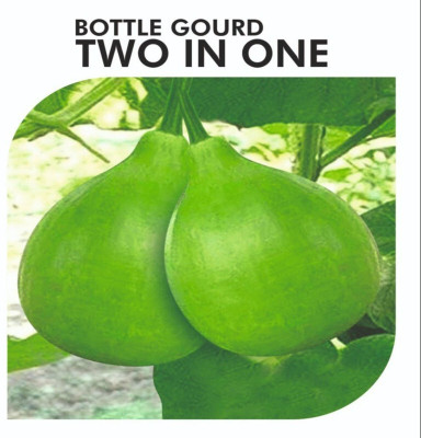 Paudhaa bottle gourd seeds Seed(10 per packet)