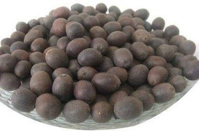 UNIQTRADERS Water Lily Lotus Flower Seed(10 per packet)