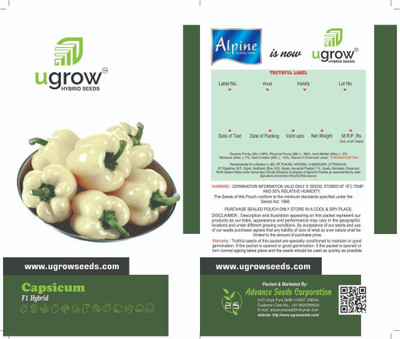 fixeded WHITE CAPSICUM SEEDS & PLANT CARNIVAL A COLORFUL WHITE FOR YOUR GARDEN Seed(30 per packet)