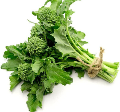 WILLVINE PUSA -XII Broccoli Raab Spring Rapini Heirloom [10g] Seed(3000 per packet)