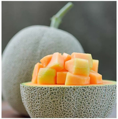 Quentova Extra Sweet Best Quality Musk Melon-IACR-5R Seed(150 per packet)