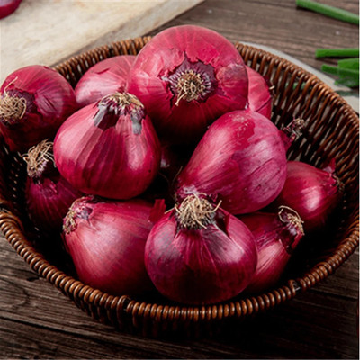 KEROS Red Onion Organic Seed(300 per packet)