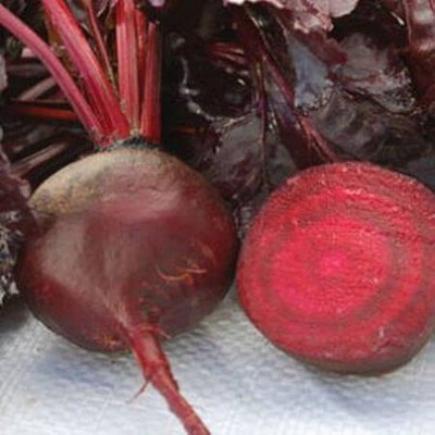 BDSresolve beetroot seeds for farming/beetroot seed 107 Seed(107 per packet)