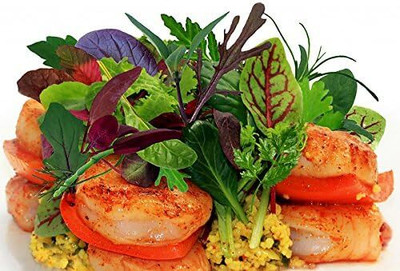 Qualtivate VVI-839 This is a Mix!Microgreens Mix 40 Varieties Seed(200 per packet)