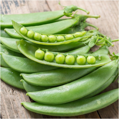 Qualtivate GBPT-5A Sugar Sprint Snap Pea Seed(200 per packet)