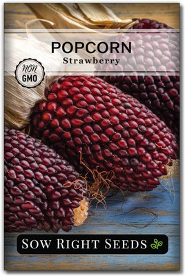Qualtivate XLR-219 Strawberry Pop corn Seed for Planting Seed(500 per packet)
